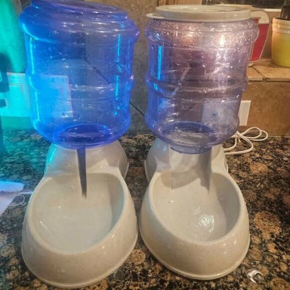 Dog Water Bowl and Food Bowl Automatic Pet Feeder 12" - Picture 1 of 3